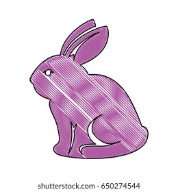 bunny animal nature