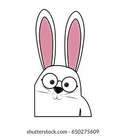 bunny animal nature