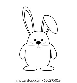 bunny animal nature