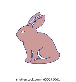 bunny animal nature