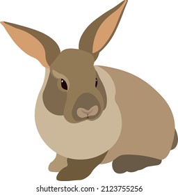 A bunny for any use.