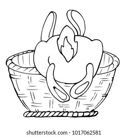 Bunny in a basket. The sketch marker. Hand drawing. Vector