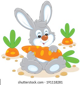 10,811 Rabbit Eating Carrot Images, Stock Photos & Vectors | Shutterstock