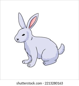 bunny cartoon. cute rabbit design illustration. Easter icon, sign and symbol.