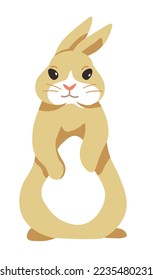 Bunny character, isolated cute woodland animal standing on back paws. Portrait of wild hare or domestic rabbit. Personage for spring easter holidays, toys for children. Vector in flat styles