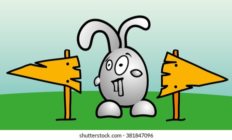 Bunny chooses between two directions