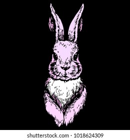 Bunny cute Rabbit animal ink hand drawn stock vector illustration