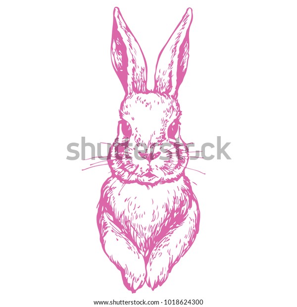 白い背景にバニーかわいいウサギの動物のインク手描きのストックベクターイラスト ピンクのラインアート落書きスケッチ カラーリングブックページ用 のベクター画像素材 ロイヤリティフリー