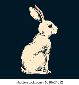 Bunny cute Rabbit hare animal ink hand drawn stock vector illustration sketch on black background