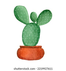 Bunny Ear Cactus isolated on white background, hand painted with watercolor