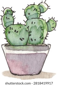 Bunny ear prickly pear cactus in purple ceramic pot watercolor illustration isolated on white background. Houseplant element.