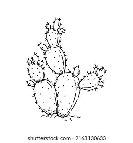 2,072 Bunny Ears Cactus Images, Stock Photos & Vectors | Shutterstock