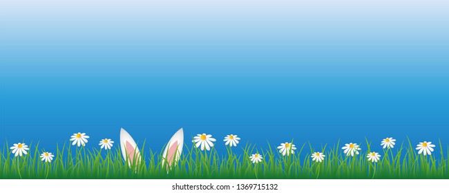 bunny ears in green meadow with white daisy flowers banner with copy space vector illustration EPS10