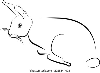 bunny easter rabbit vector cute