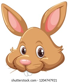 Bunny face on white background illustration