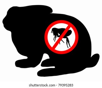 Bunny flea prohibited