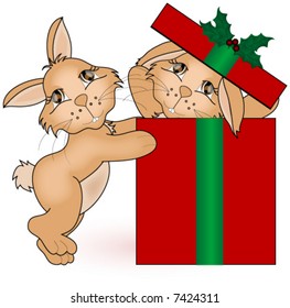 Bunny in a gift box vector.