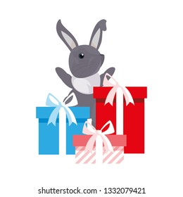 bunny gift boxes happy easter