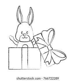 Bunny in giftbox