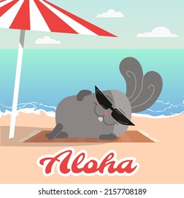 Bunny in glasses and jumpsuit on the beach