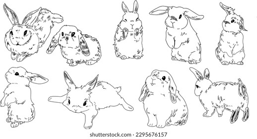 Ilustración de conejo adorable dibujada a mano de conejo