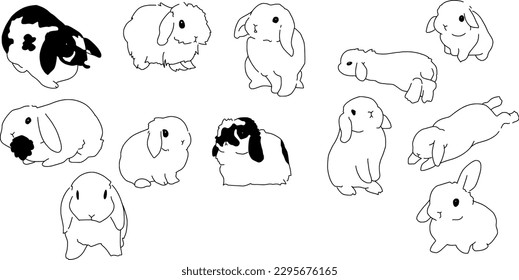 Bunny hand drawn cute rabbit illustration