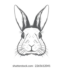 Cabeza Bunny - Diana de Pascua Cabeza Bunny Aislada Imagen De Ilustración Del Vector De Bunny Blanco Y Negro
