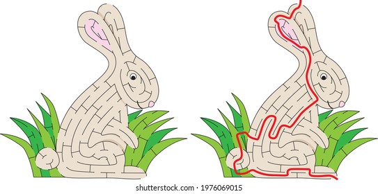 Bunny maze for kids with a solution