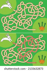 Bunny maze for kids with a solution