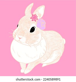 conejito de fondo rosa con dos flores