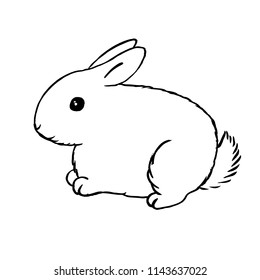 Bunny outline - furry white hare