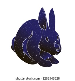Bunny outline illustration. Stylized rabbit vector line animal, night sky color silhouette isolated on white background.