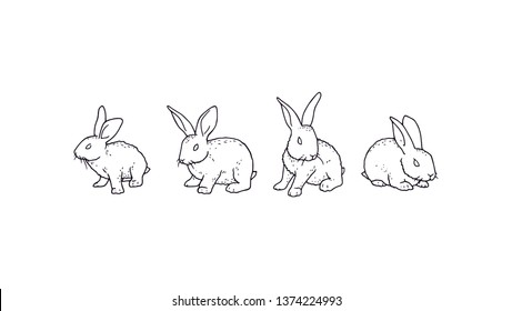 Bunny outline set vector illustration in different shapes graphic. Rabbit cute wild animal easter symbol drawing. Hand drawn cute wild animal outline collection. Cartoon style simple sketch silhouette
