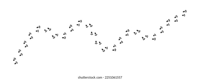 Bunny pawprints waving track. Hare feet steps. Wet or mud rabbit paw silhouettes. Trace of running or walking wild animal isolated on white background. Vector graphic illustration