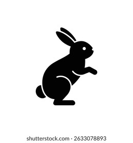 Bunny Pfoten hüpfen nach vorne in spielerischer Bewegung