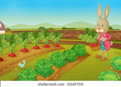 Bunny picking raddishes in the farm