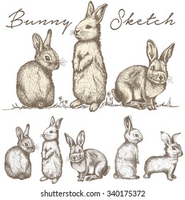 81 Popular Sketch rabbit drawing ears up For Learning