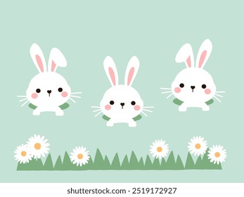 Bunny rabbit cartoons, green grass and daisy flower  icon sign on green background vector.