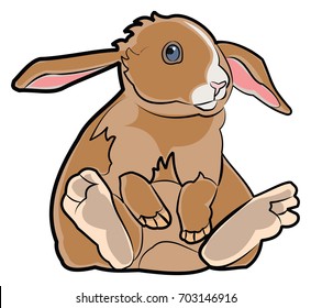Bunny Rabbit Colored Line Drawing