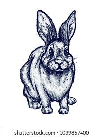 Bunny, rabbit. Easter symbols cart, hand drawn Isolated vector illustration. Universal templates for invitation or packaging. Engraving