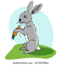 Bunny Rabbit Eating a Carrot