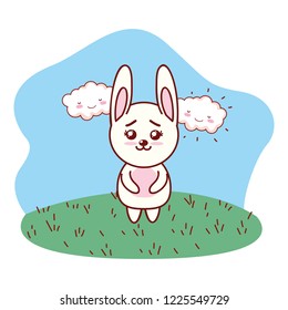bunny rabbit grassy lanscape cartoon