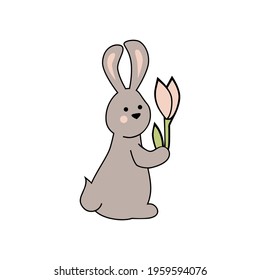 Bunny, rabbit with tulip flower on white background. Vector illustration.