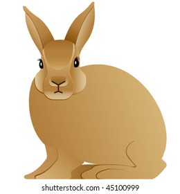 bunny, rabbit - vector illustration