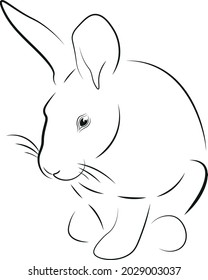bunny rabbit vector line black drawing