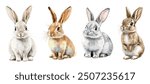 Bunny and Rabbit Watercolor Collection. Hand-Drawn Realistic Bunnies and Rabbits in Various Poses. Cute Hare Illustrations in Jumping, Sitting, and Standing Positions on a White Background.

