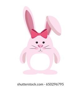 bunny ribbon animal