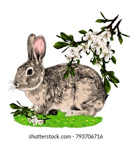 Bunny sitting on the grass next to the branches of the Apple tree sketch vector graphics color picture