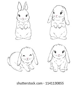 Bunny sketch , rabbit set, hand drawn Isolated vector illustration.