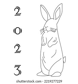 Bunny, symbol of 2023 :)